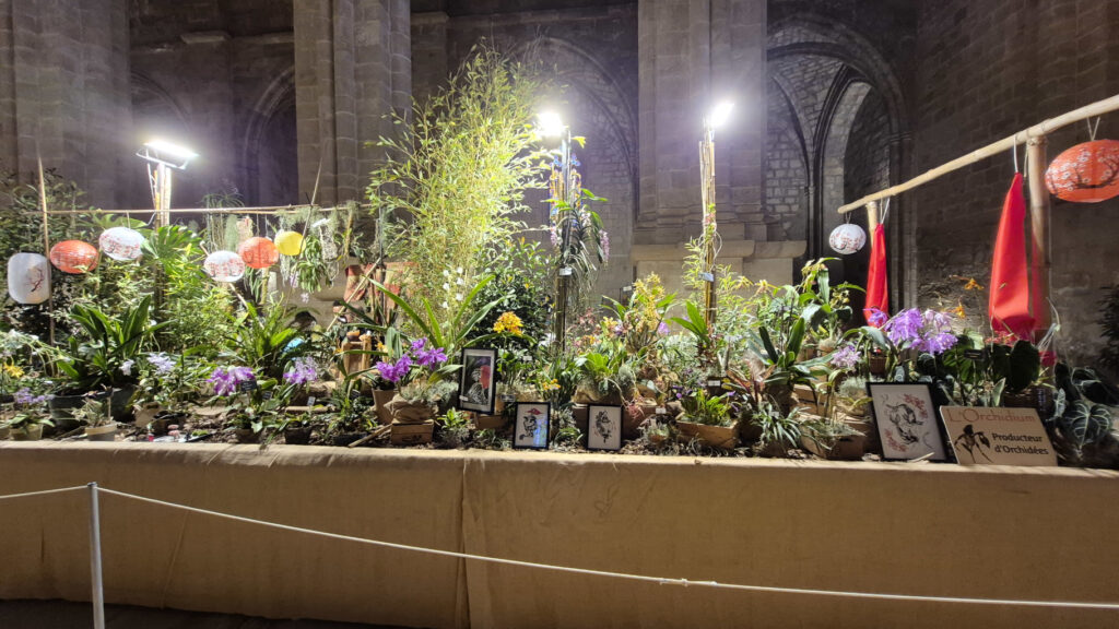 Stand - 2eme prix L'Orchidium