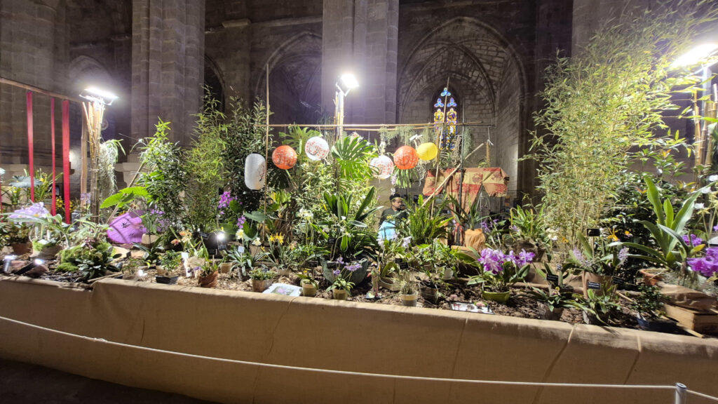 Stand - 1er prix Parenthèse tropicale