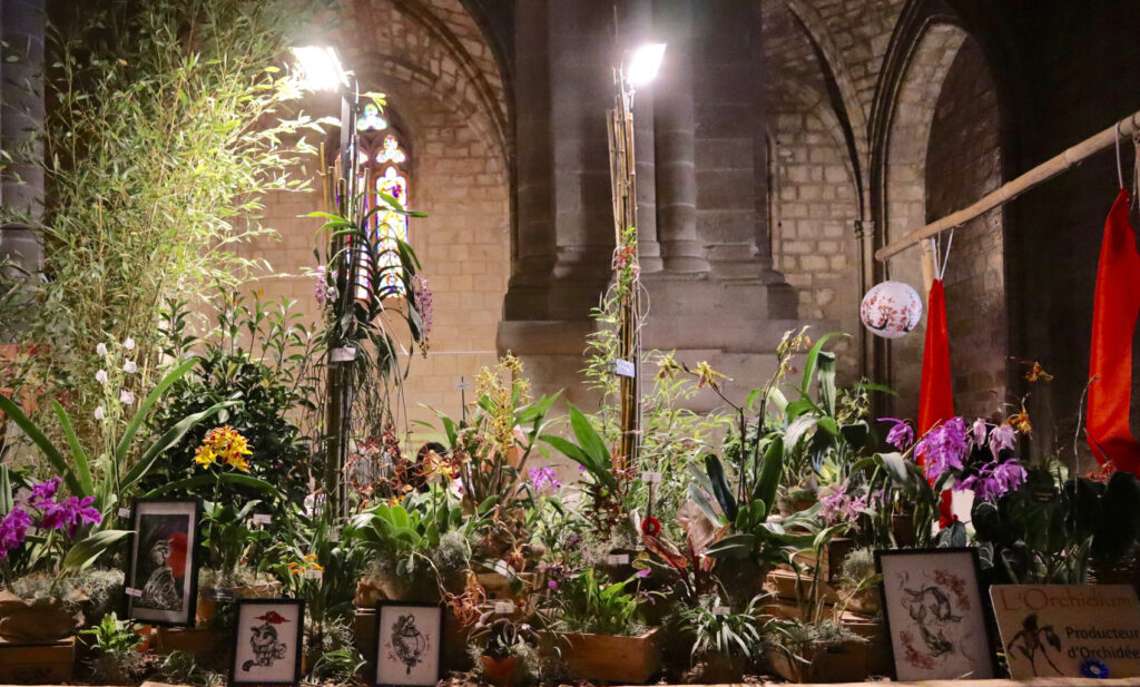 Stand - 2eme prix L'Orchidium