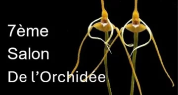 Salon de l’Orchidée à Montamisé (86) – janvier-février 2026
