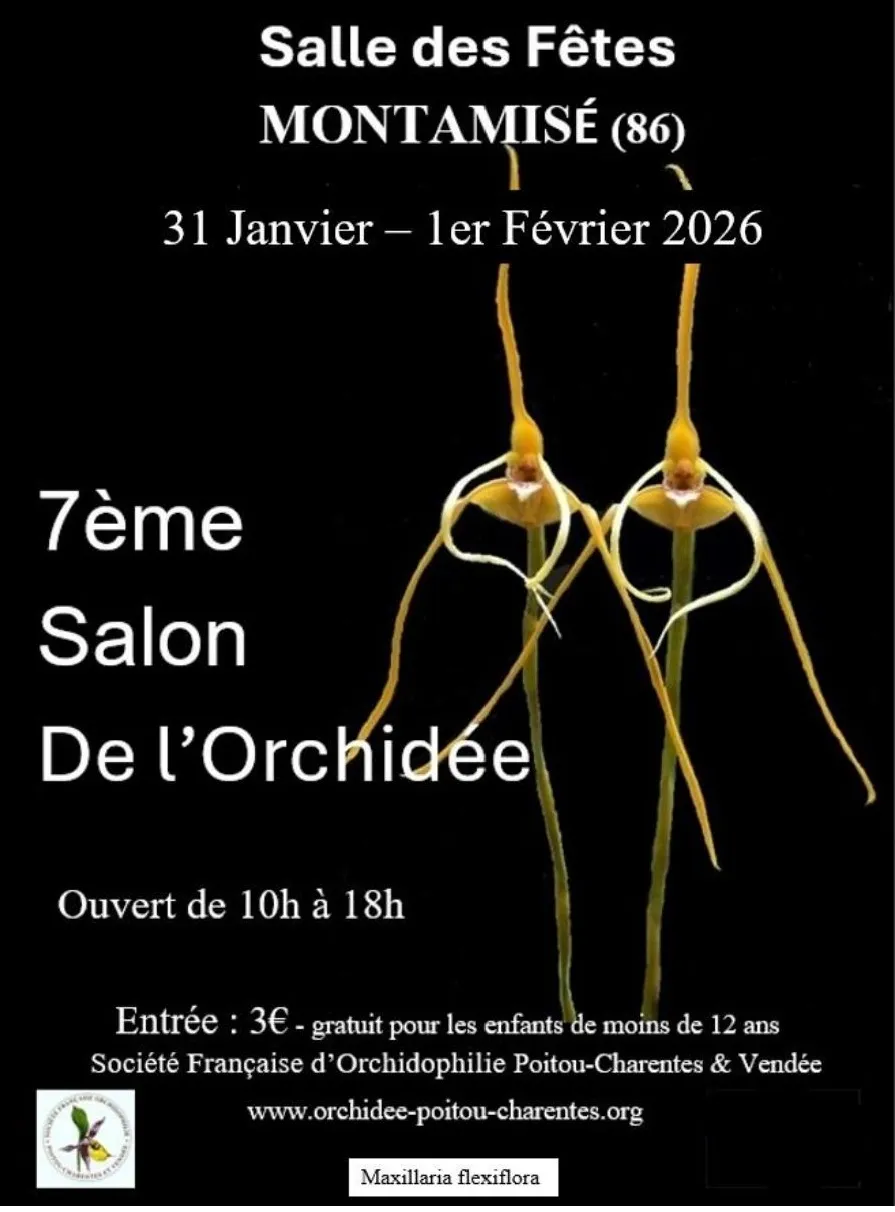 Exposition d'orchidées à Montamisée - 2026