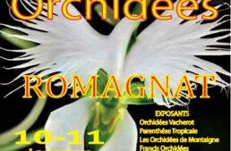 Exposition d&rsquo;orchidées à Romagnat (63) – janvier 2026