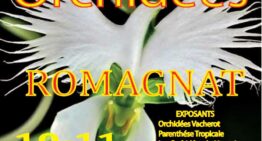 Exposition d&rsquo;orchidées à Romagnat (63) – janvier 2026