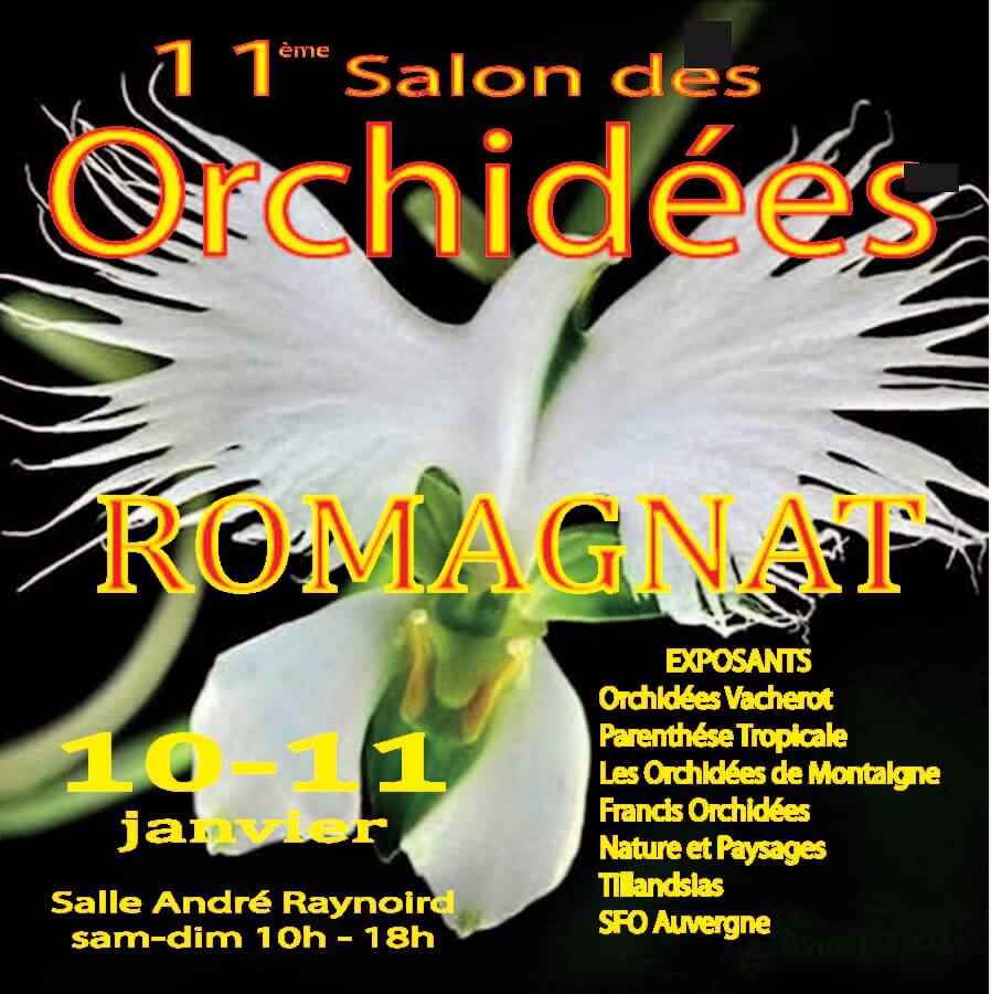 Exposition d'orchidées à Romagnat - janvier 2026