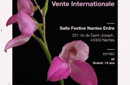 Compte-rendu de jugement Nantes – Mars 2025