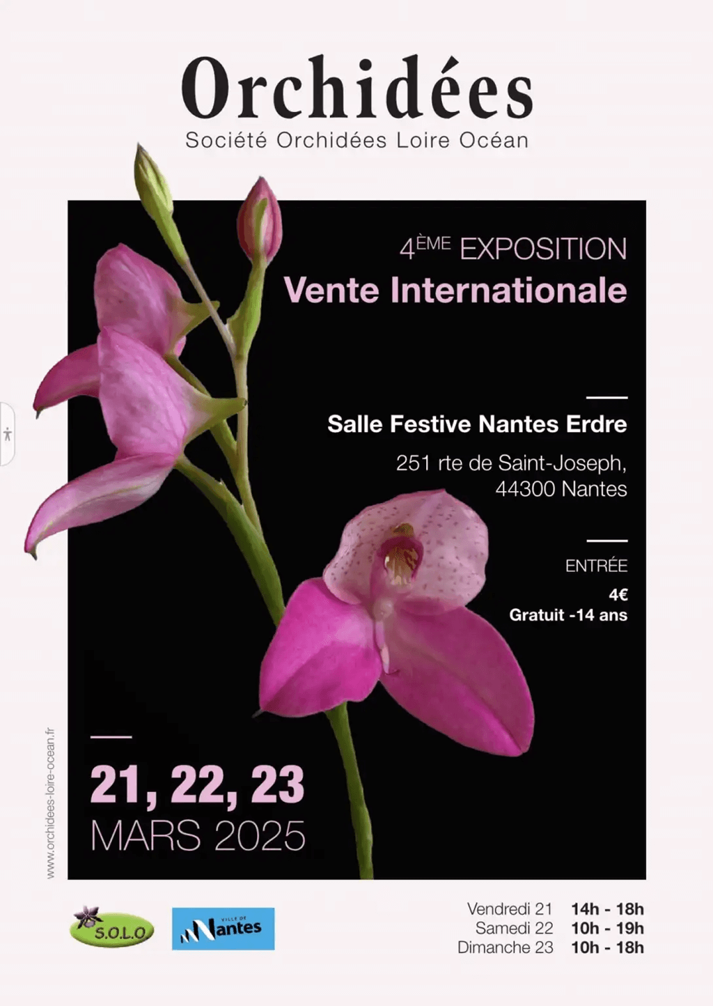 Exposition d'orchidées Solo - mars 2025