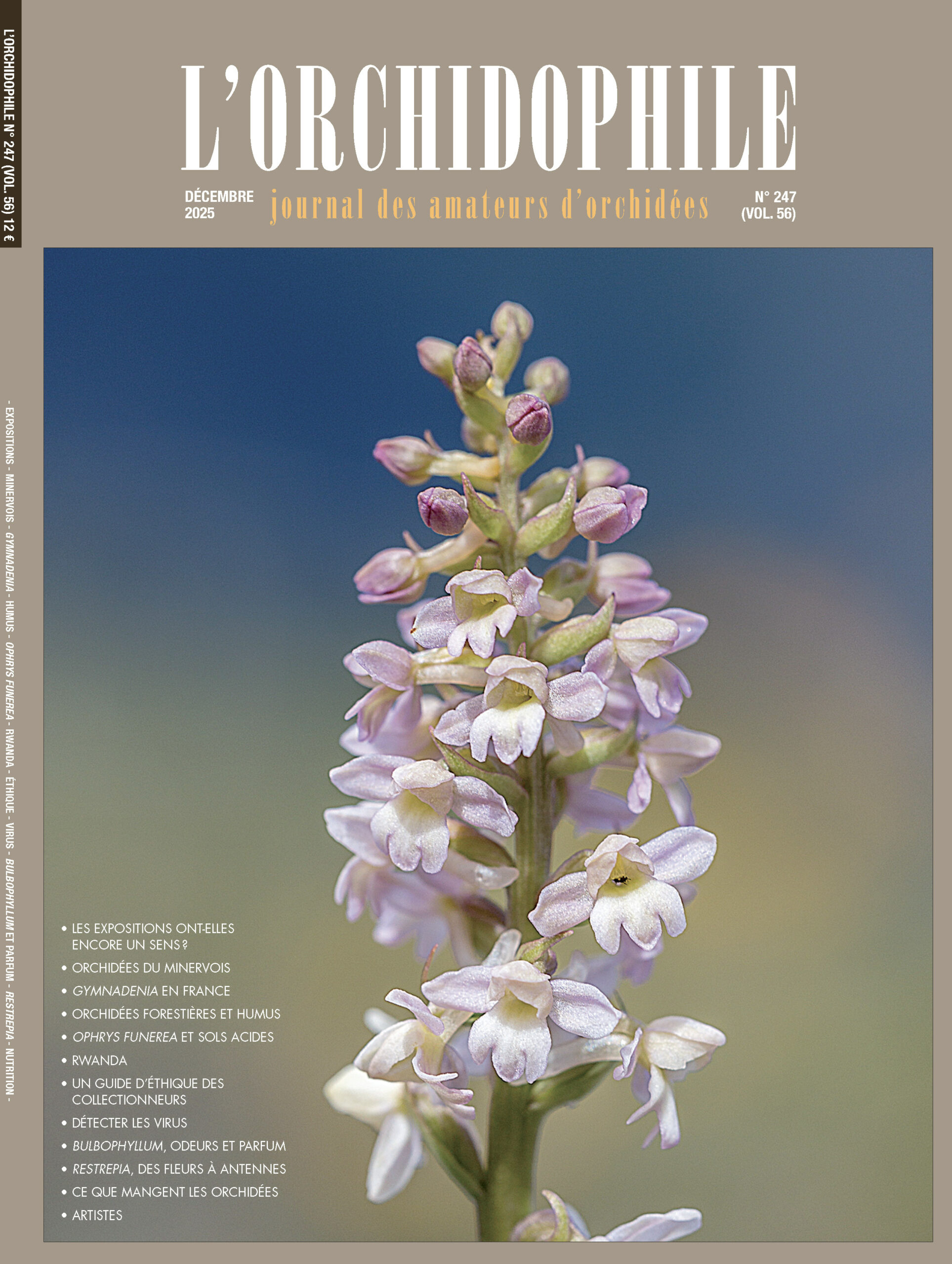 Couverture L'Orchidophile 247 (décembre 2025)