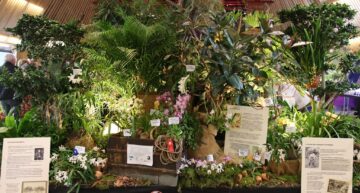 Stand SOLO prix spécial du jury