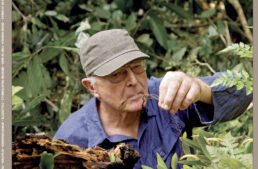 L&rsquo;Orchidophile, extraits gratuits n°248 (mars 2026)