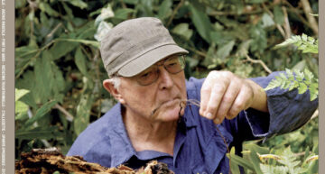 L&rsquo;Orchidophile, extraits gratuits n°248 (mars 2026)