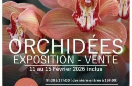 Exposition d’orchidées au parc floral d’Orléans (45) – février 2026