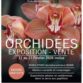 Exposition d’orchidées au parc floral d’Orléans (45) – février 2026