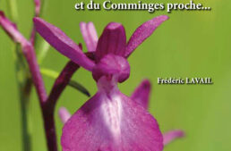 Film Ophrys &lsquo;les orchidées des Petites Pyrénées&rsquo; de F. Lavail