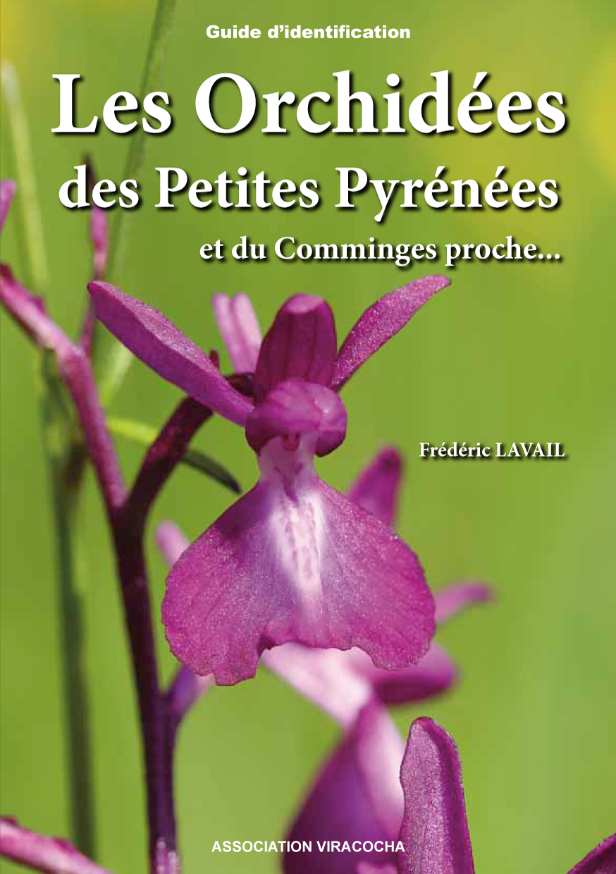 guide des orchidees des petites-pyrénées