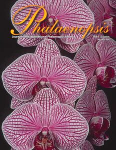 Phalaenopsis 2024 3Q