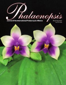 Phalaenopsis 2025 1couverture