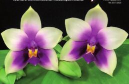 Le Phalaenopsis Journal de l’International Phalaenopsis Alliance