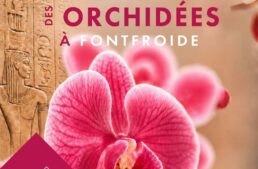 Festival des orchidées à Fontfroide (11) – octobre 2026