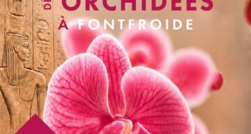 Festival des orchidées à Fontfroide (11) – octobre 2026
