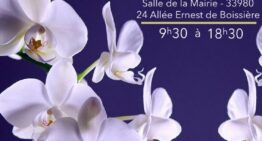 Exposition d’orchidées et plantes carnivores à Audenge (33) – mai 2026