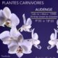 Exposition d’orchidées et plantes carnivores à Audenge (33) – mai 2026
