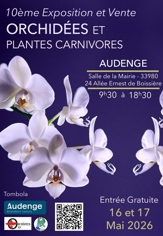 Exposition d'orchidées à Ares mai-2026