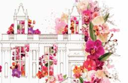 Exposition d&rsquo;orchidées à Joinville (52) – septembre 2026