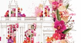 Exposition d&rsquo;orchidées à Joinville (52) – septembre 2026