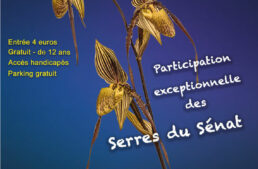 Exposition Orchidée 17 à Breuillet (17) – octobre 2026