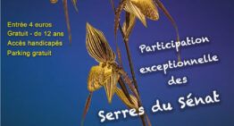 Exposition Orchidée 17 à Breuillet (17) – octobre 2026