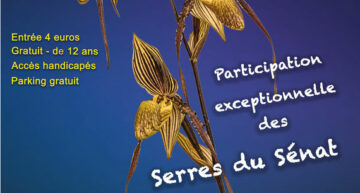 Exposition Orchidée 17 à Breuillet (17) – octobre 2026