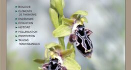 Spécial Ophrys : nouveau numéro spécial de l&rsquo;Orchidophile en souscription
