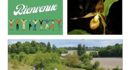 Nouveau : le livret d&rsquo;accueil de la FFO