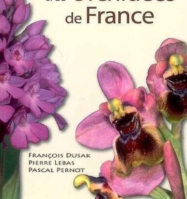 guide des orchidées de france - dusak