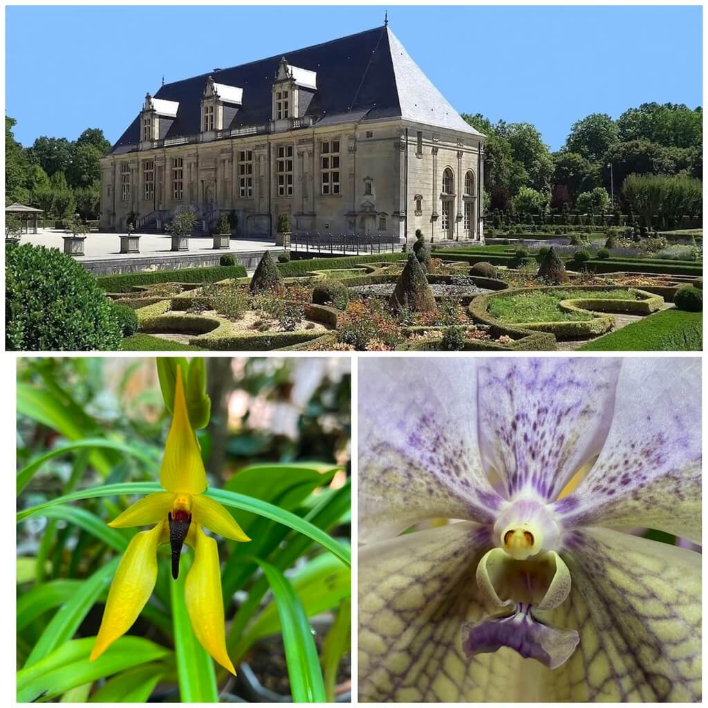 2026 expo orchidées Joinville (52)
