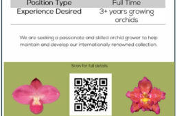 Offre d’emploi à la &lsquo;Eric Young Orchid Foundation&rsquo;