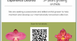 Offre d’emploi à la &lsquo;Eric Young Orchid Foundation&rsquo;