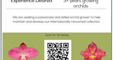 Offre d’emploi à la &lsquo;Eric Young Orchid Foundation&rsquo;