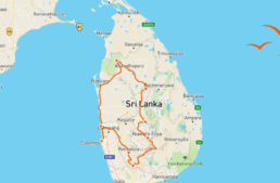 Voyage au Sri-Lanka en 2027