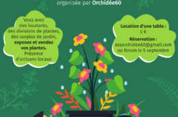 Bourse aux plantes et aux orchidées (60) – octobre 2026