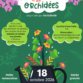 Bourse aux plantes et aux orchidées (60) – octobre 2026