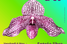 Exposition Orchidée 91 à Ballancourt (91) – novembre 2026