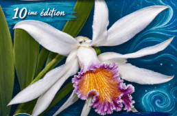 Exposition d&rsquo;orchidées à Ravine des Cabris (974) – La réunion – octobre 2026