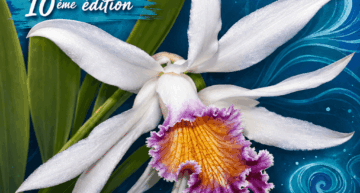 Exposition d&rsquo;orchidées à Ravine des Cabris (974) – La réunion – octobre 2026