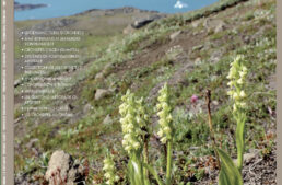 L&rsquo;Orchidophile, extraits gratuits n°249 (juin 2026)