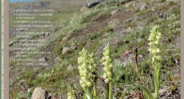 L&rsquo;Orchidophile, extraits gratuits n°249 (juin 2026)