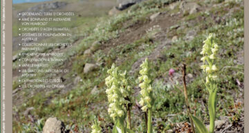 L&rsquo;Orchidophile, extraits gratuits n°249 (juin 2026)
