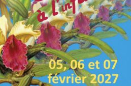 Exposition d’orchidées à Vergèze (30) – février 2027