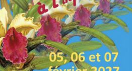 Exposition d’orchidées à Vergèze (30) – février 2027
